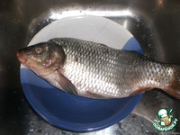 ����, ������������� ����� � ������� �����������