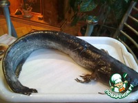 ���, �������� �� ��������� ��� �����������