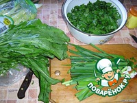 ������� ���� �����������