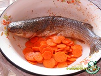 ������������� ������ "��������� �������" �����������