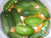 ������� "��������" �����������