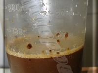 �������� ���� � ����� �����������