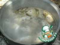 ���� ������ �����������