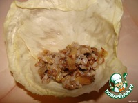 ������� "�������" �����������