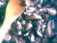 �������� �����������