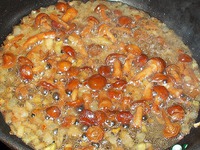 ������� ��� �����������