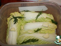 ������������ ������� "��������" �����������