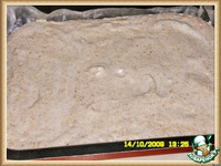 ���� "�������� ��������" �����������