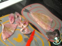 ������ �� ���� ������ � ��������� ����������� �����������