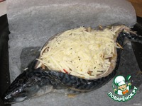 �������� ���������� ������� �����������