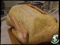 �����-������� ���� �� ��������� ����� �����������