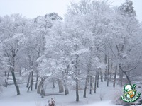 ������� ����� ������ ��������� ����� 2 � ���� "����� ������ ����� �� �����... " �����������