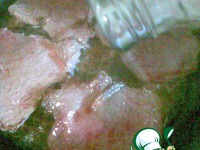 ������� � ��������� ������ ��������� ������ �����������