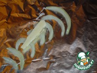 ���� � ��������� �����������