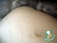 ������� � ��������-������ �������� �����������