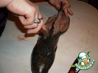 ������������� �������� �����������