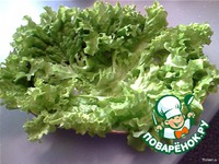 ����� "Viva" �����������