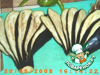 ������������ ���� �����������