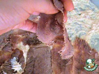 ������� ������� �����������