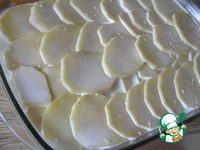 ������ ��������� ������ �����������