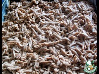 �������-�������  ����� �����������