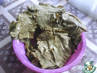 ����� �����������