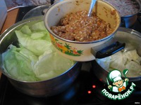 ������� �����������