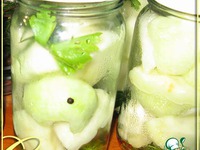 ������������ ��������� �����������