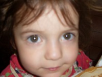 ����� �� ����������� �����������