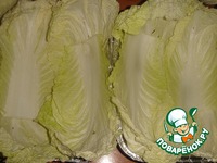 ������� ��������� �����������