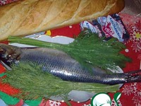 ����� ������������� �����������