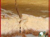 ������� "2009 " �����������