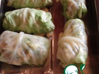 �-��  ������� �� ������ �����������