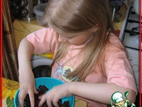 ������� �������-���������� "������ �����" �����������