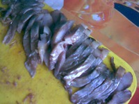 ����� �� ������ �����������