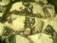 ���� "��������" �����������