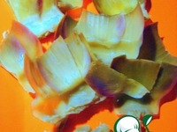 ������� � ������� ������������� �����������