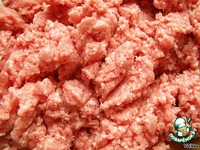 ���� ����� �����������