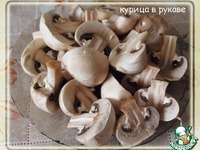 ������ � ������� � ������ ��� ��������� �����������