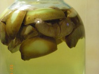 ����� �������� �����������