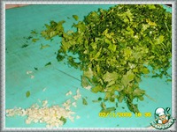 ������  �  ���������� ����  �  �������  �  ������� �����������