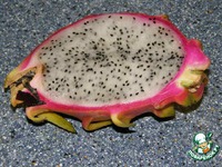 ��������-��������� ���� �����������