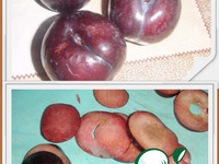 ��������� ����� �� ������� �����������