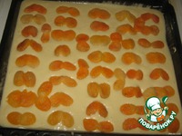 ����� "������������" � ������� � ������e� �����������