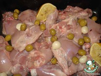 ������ � ������� � �������� �����������