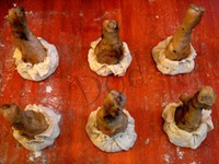 ������� ����� � �������� � �������� �����������