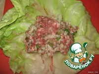 �������, �����e���� ��� ��������-������� ������ �����������