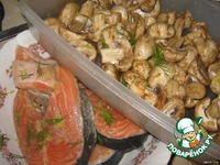 ������ �e���, �����e���� � ������������ �����������