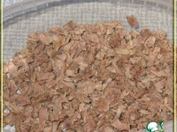 ����� ���������� � ��������� �����������