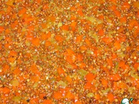 ������ � ������� "�������� �������" �����������